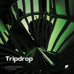 Tripdrop