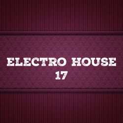 Electro House, Vol. 17