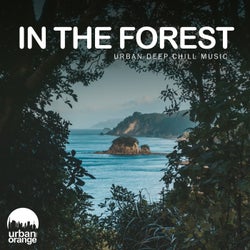 In the Forest: Urban Deep Chill Music