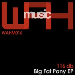 Big Fat Pony EP