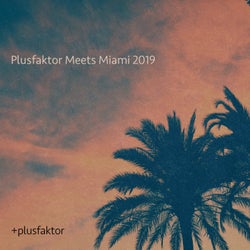 Plusfaktor Meets Miami 2019