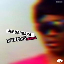 Wild Boys Remixes