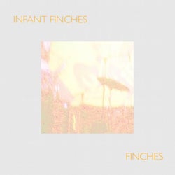 Finches (Single Version)