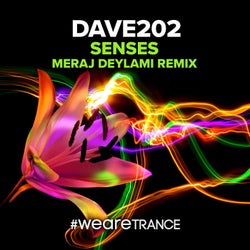 Senses (Meraj Deylami Remix)
