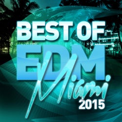 Best Of EDM: Miami 2015