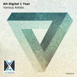 AH Digital 1 Year