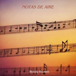 Notas De Aire