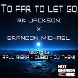 Too Far To Let Go ft Brandon Michael