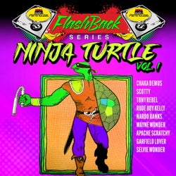 Penthouse Flashback Series: Ninja Turtle,Vol.1