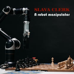 A Robot Manipulator