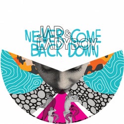 Never Come Back Down