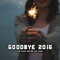 Goodbye 2016 (The Finest EDM and Club Tunes)