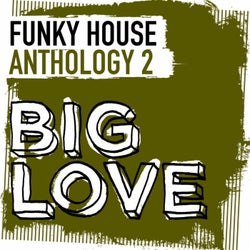 Big Love Funky House Anthology 2