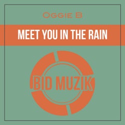 Meet You In The Rain