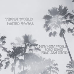 Virgin World (New New World 2020 Remix) (feat. Jan Beyer)