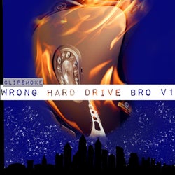 Wrong Hard Drive Bro V1