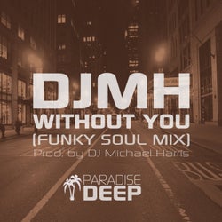 Without You (Funky Soul Mix)
