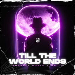 Till The World Ends (Extended Mix)