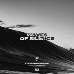 Waves Of Silence