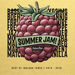 Summer Jam! (Best of 2014 - 2016)