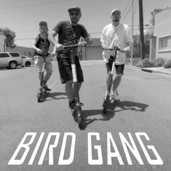 Bird Gang