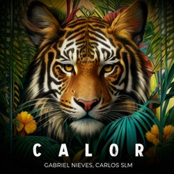 Calor