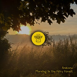 Morning in the Fairy Forest