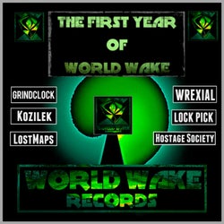 The First Year of World Wake