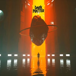 Dark Matter