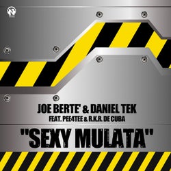 Sexy Mulata (feat. Pee4Tee, R.K.R. de Cuba) [Radio Edit]