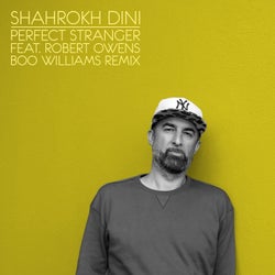 Perfect Stranger feat. Robert Owens (Boo Williams Remix) (2025 Edit)