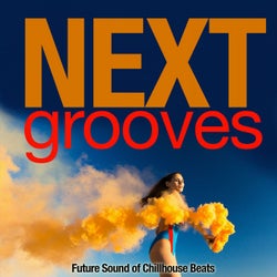 Next Groove (Future Sound of Chillhouse Beats)