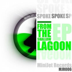 From The Shallow Lagoon EP