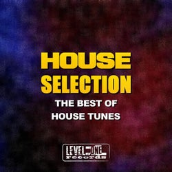 House Selection (The Best Of House Tunes)