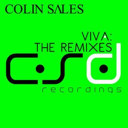 Viva: The Remixes