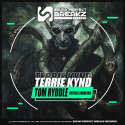 Tom ryddle (Critical sound mix)