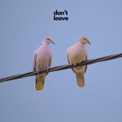 Don't Leave