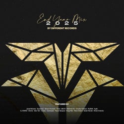 Different Records: End Year Mix 2025