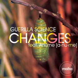Changes (feat. Anume)