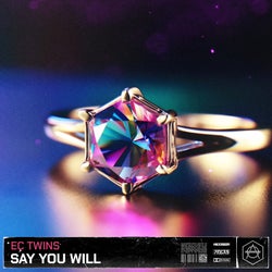 SAY YOU WILL - Extended Mix