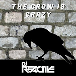 The Crow Is Crazy
