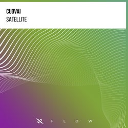 Satellite