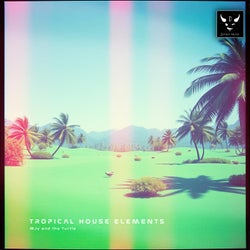 Tropical House Elements