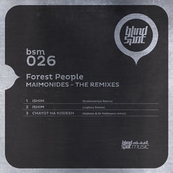 Maimonides - The Remixes