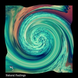 Melodic & Natural Feelings Vol 2