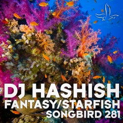 Fantasy / Starfish