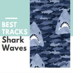 shark waves chart