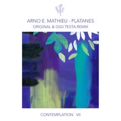 Contemplation VII - Platanes