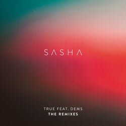 True (Feat. Dems) - The Remixes