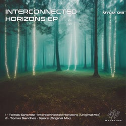 Interconnected Horizons